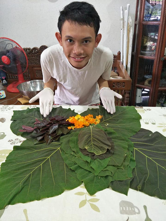 Eco printing art by autistic